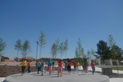 Coreografia das Palavras