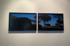 Do Principio do Mundo - Concerto e Exposição