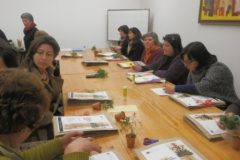 Ervas aromáticas - workshop